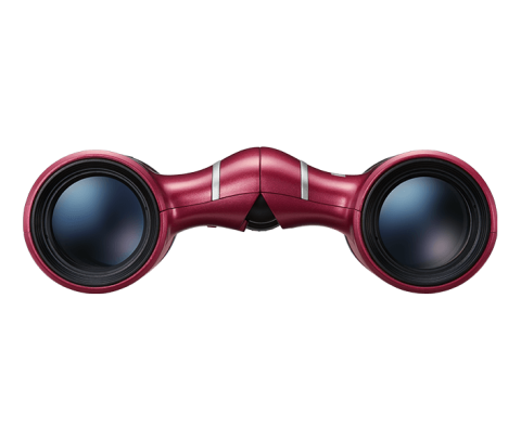 Nikon Aculon T02 8x21 Dürbün (Red)