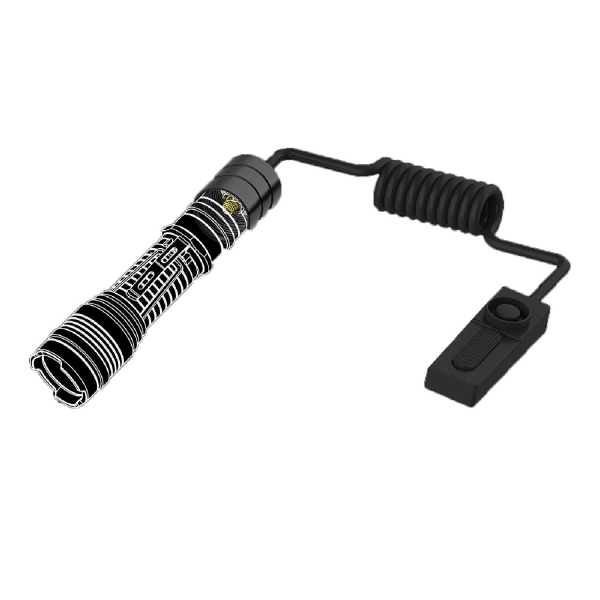 TFX REMOTE SWITCH TYPE B 502583