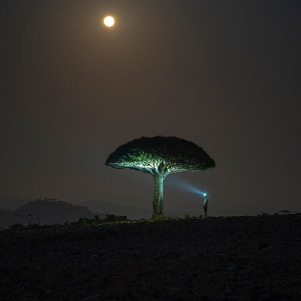 LEDLENSER HF6R SIGNATURE SAND KAFA LAMBASI 502885