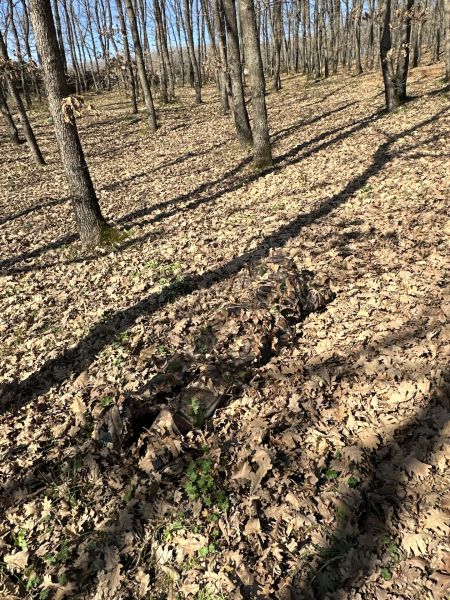 KMCS Ghillie Suit 4.1 3D Yaprak Kamuflaj Takımı Renk Seçenekli Dark Forest - Medium